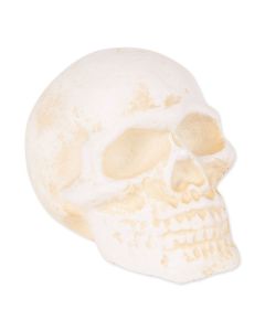 HUMAN SKULL CAST IRON PAPERWEIGHT